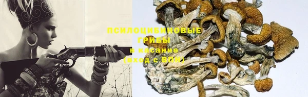 MESCALINE Рославль