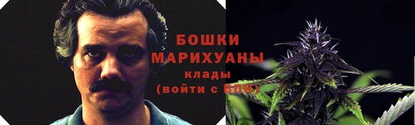 шишки Россошь