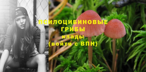 кристаллы Ростов