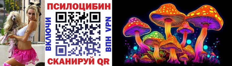 Псилоцибиновые грибы мицелий  Тырныауз 